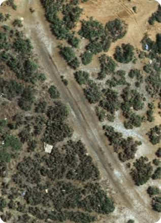 Ecotechnology: aerial imagery analysed with AI